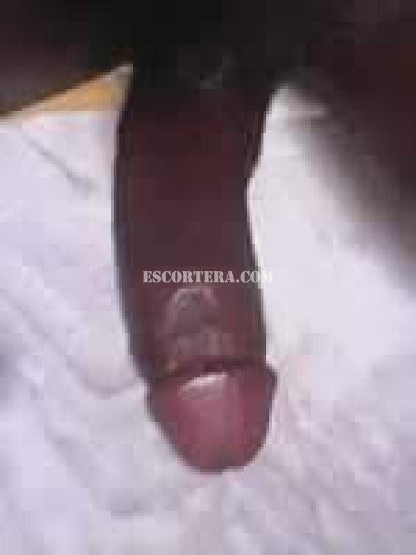 escorts - ShemalleBlack - Portugal - Leiria - 915270286 - 4